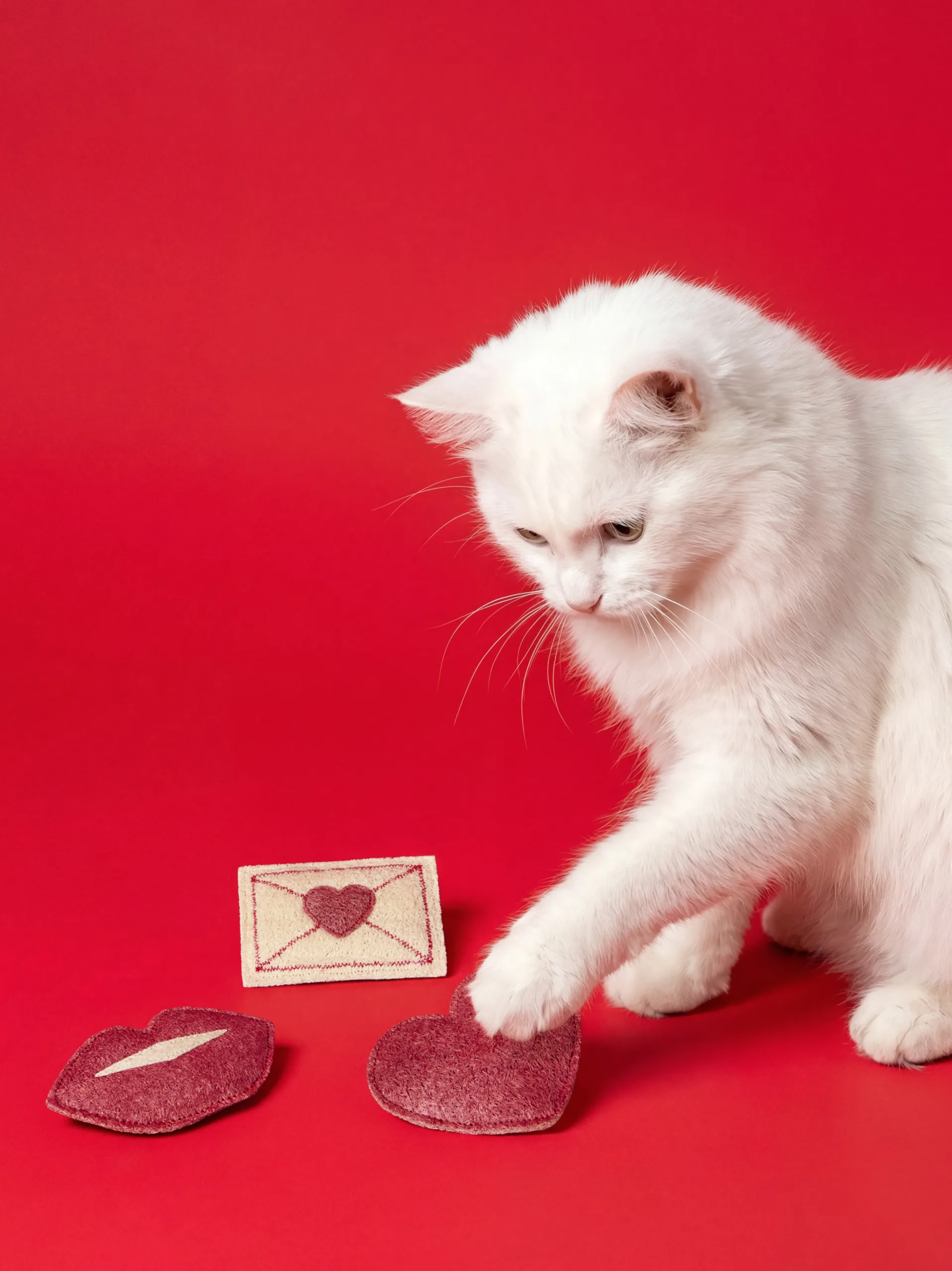 white love letter three piece set (cat) white love letter three piece set (cat)