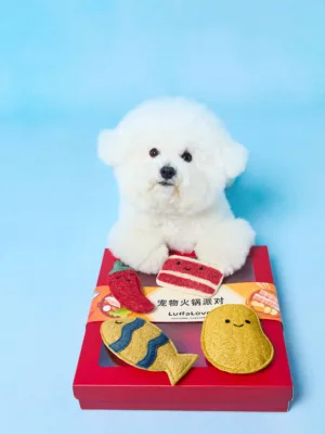 pet hot pot themed toy four piece gift box（dog）