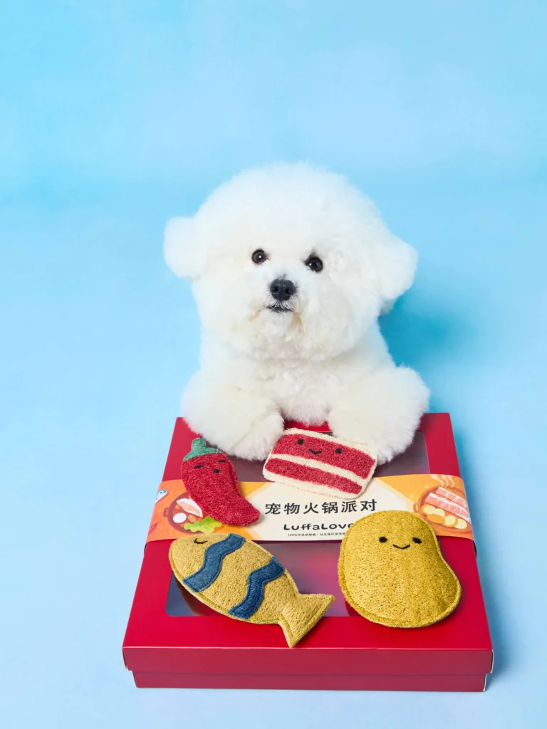 pet hot pot themed toy four piece gift box（dog）